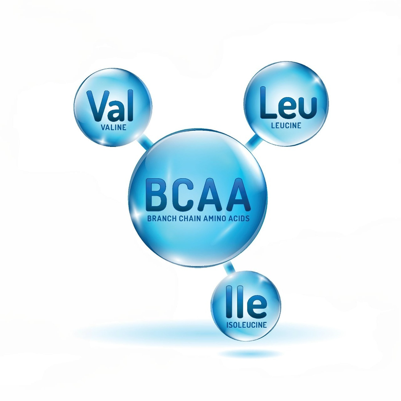 Формула BCAA