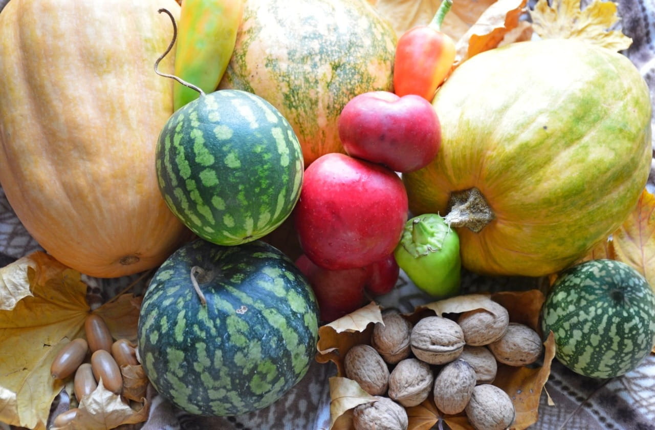 Сезонные продукты осени: тыквы, яблоки, орехи и зелёные дыни